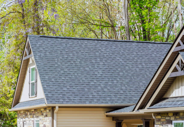 Best Roof Insulation Installation  in Braselton, GA